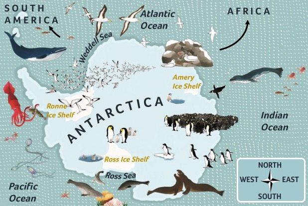 Antarctica