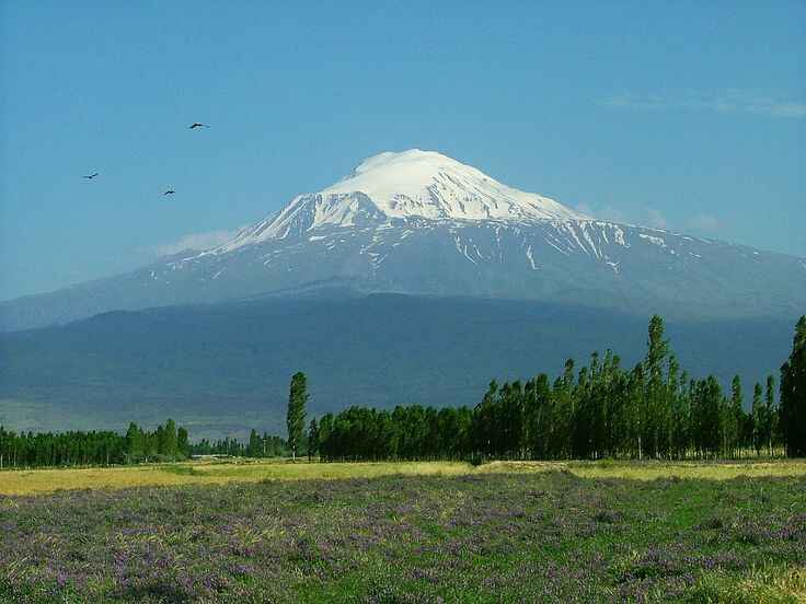 Ararat